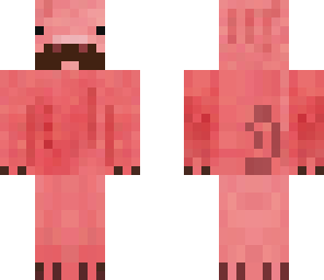 mustache pig