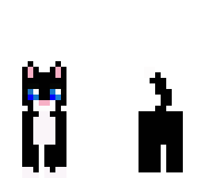 black cat