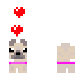 pug