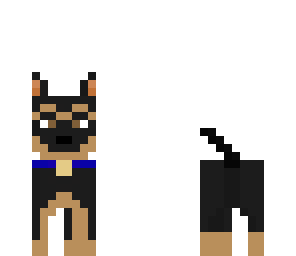 cute puppy