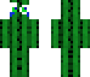 cactus with glasses