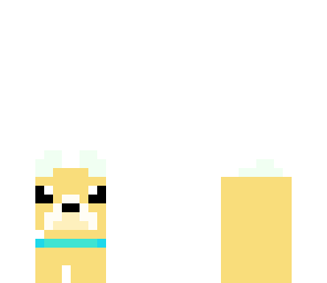 dog shoes
