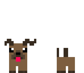 brown puppy