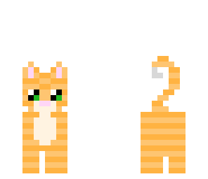 for my cat