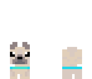 litttle dog