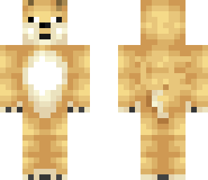 doge