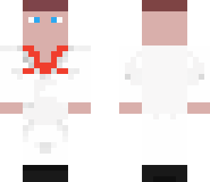 janitor steve