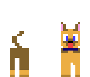 perro