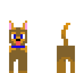 perro