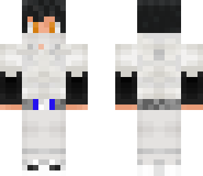 zenius' inverted skin
