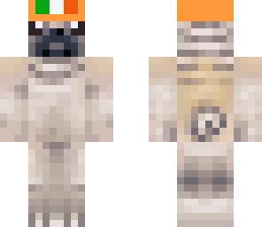 irish pug