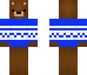 bear blue sweater