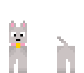 grey puppy