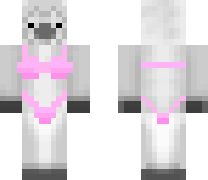 nicki llamaj