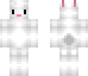 cute white bunny