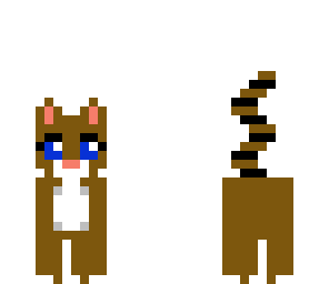cute litle cat