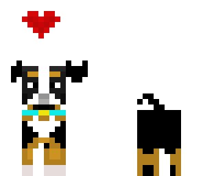 cute dog