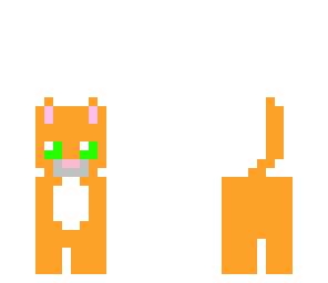 kitty