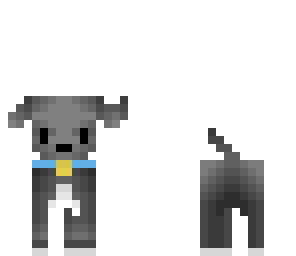 cute grey dog