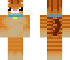 tabby cat