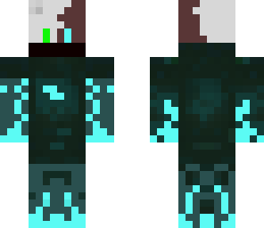 bear with a costume v11