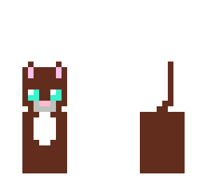 kitty