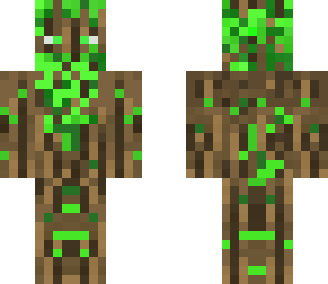 tree beard