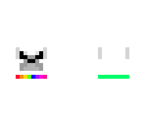 a white puppy
