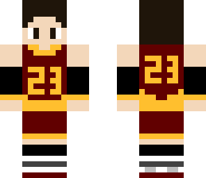 the basketball gamer