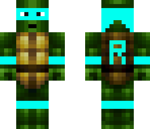 riley's ninja turtle skin