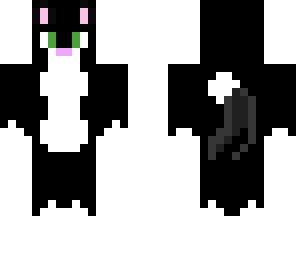 kitty