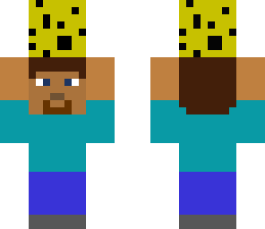 sponge carrier