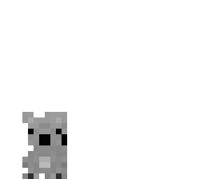 baby koala