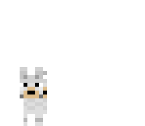miny dooog