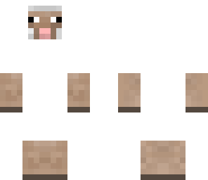 sheep