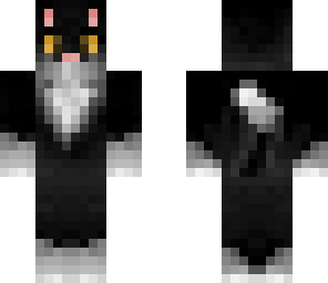 tuxedo kitty