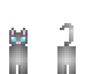 rain's cat