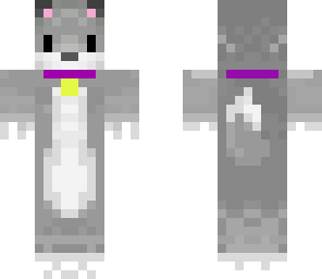 cute dog