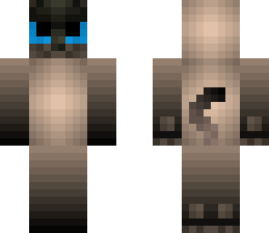 minky - siamese cat