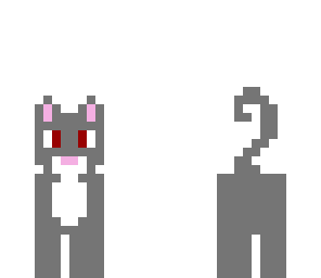 cute cat