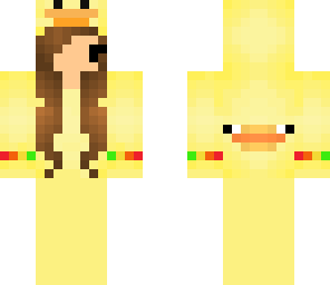 8bithomo duck