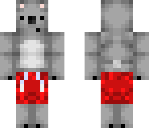 beach koala 
