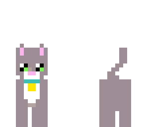 grey cat