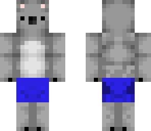 summer koala