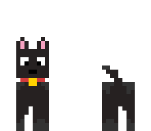 cute puppy