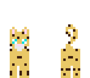 lepard
