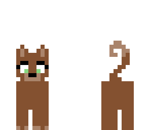 my dog