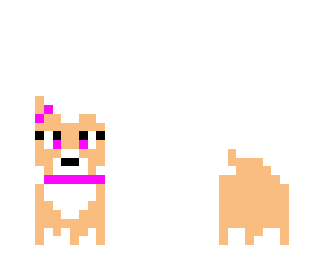peaches the puppy