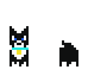 lulu the puppy