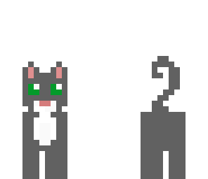 cute gray cat